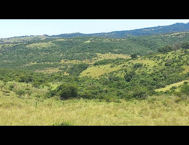 168HA FARM FOR SALE IN EAST LONDON RURAL